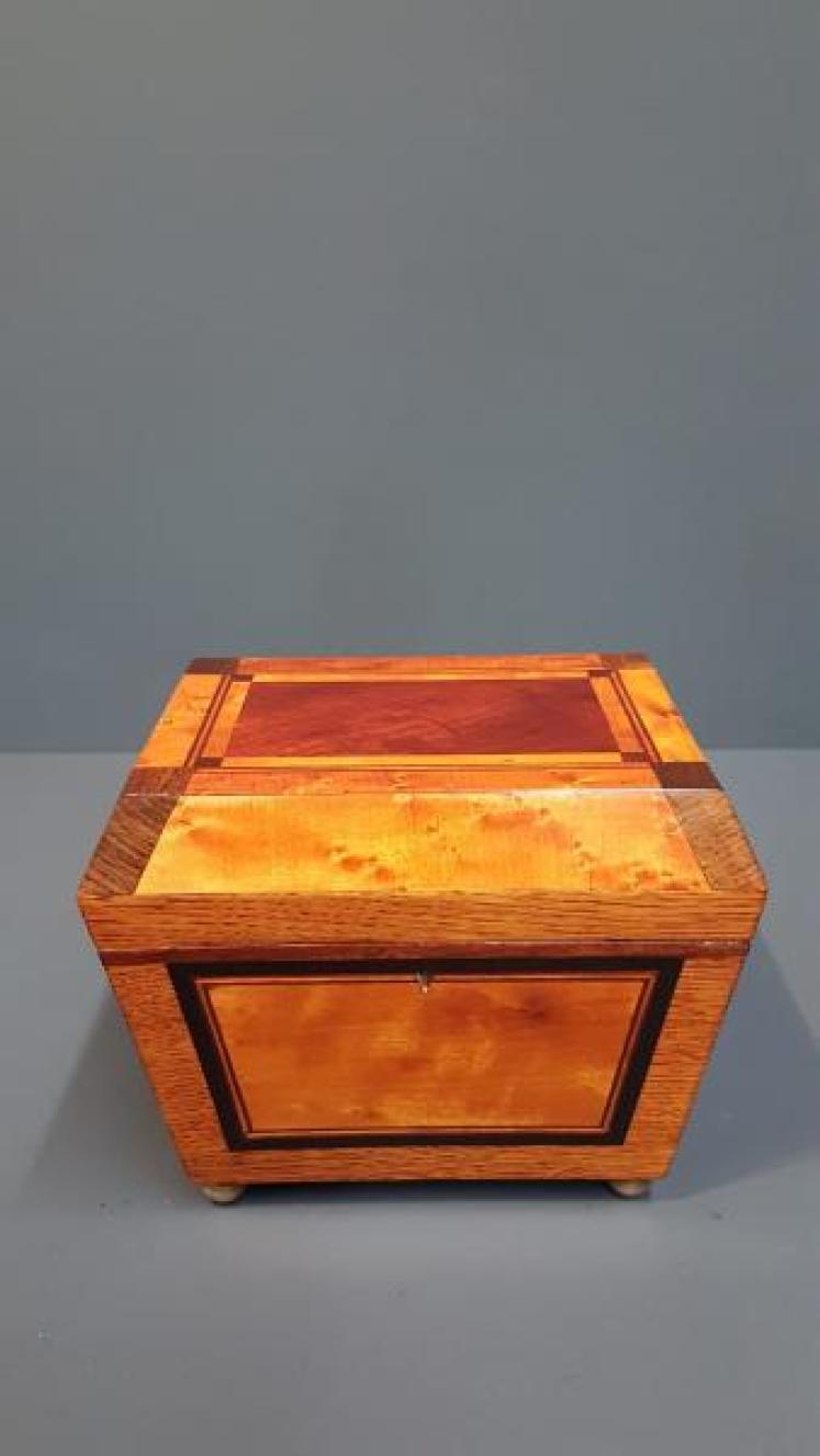 Regency Oak, Satinwood and Mahogany Tea Caddy - Image 7