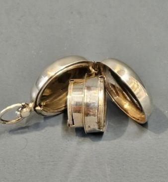Unusual Silver Double Sovereign Case