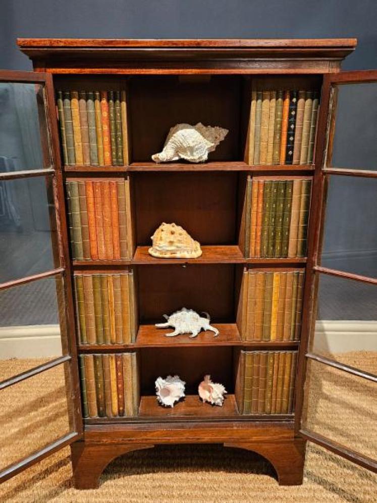Georgian Four Sided Collectors Cabinet - Image 2