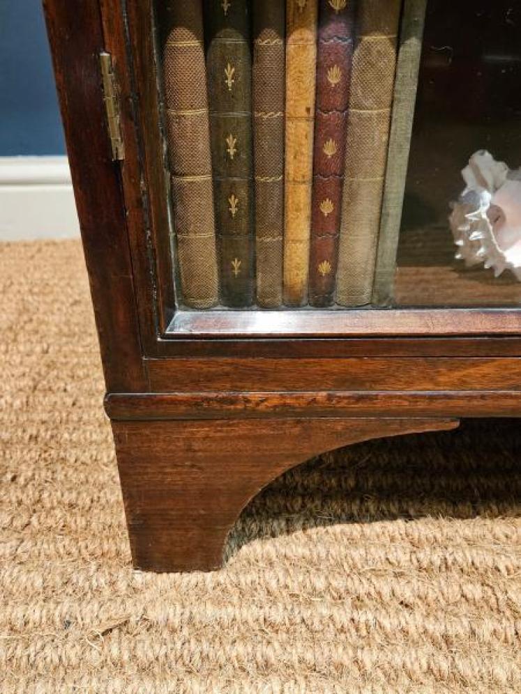 Georgian Four Sided Collectors Cabinet - Image 4