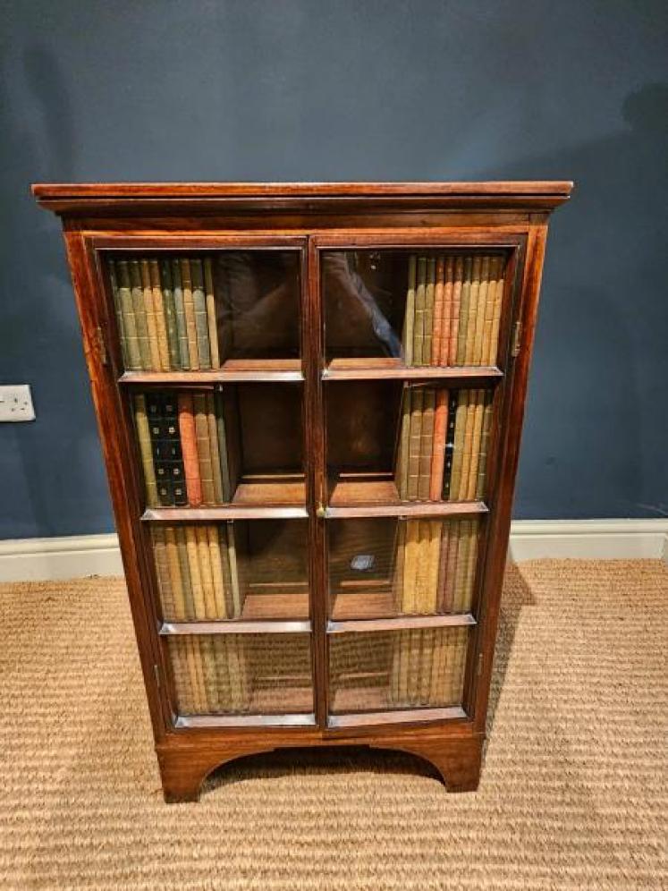 Georgian Four Sided Collectors Cabinet - Image 5