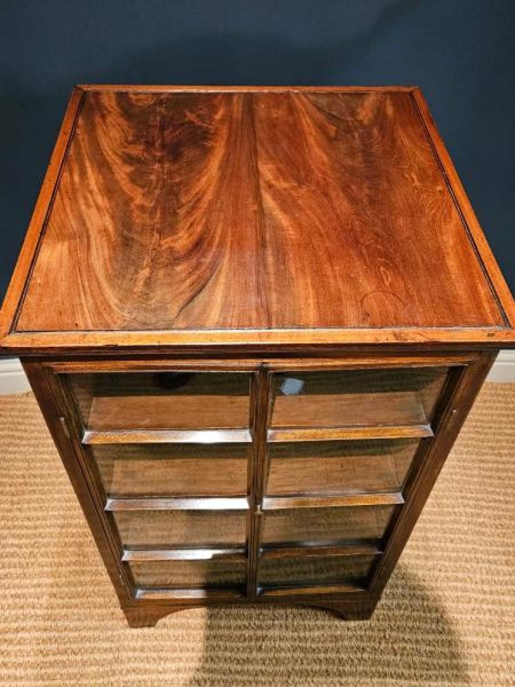 Georgian Four Sided Collectors Cabinet - Image 7