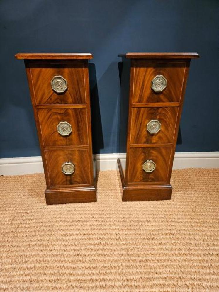 Pair of Early Victorian Narrow Chests - Image 1