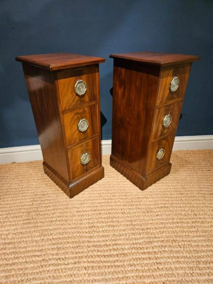 Pair of Early Victorian Narrow Chests - Image 2