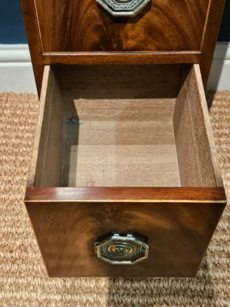 Pair of Early Victorian Narrow Chests - Image 3