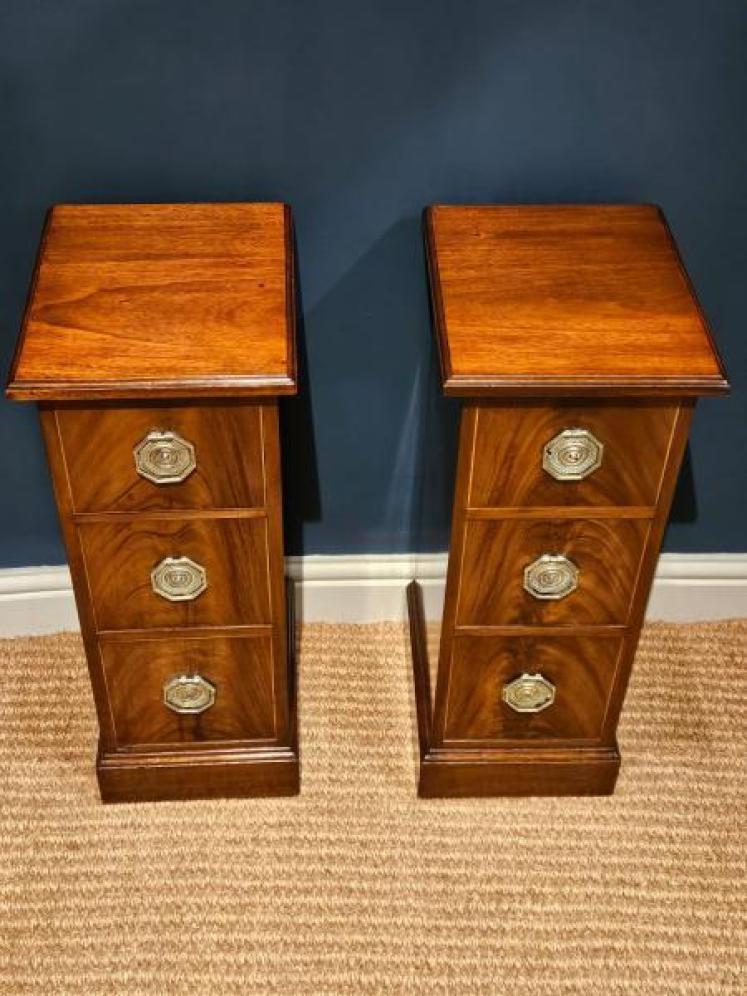Pair of Early Victorian Narrow Chests - Image 4