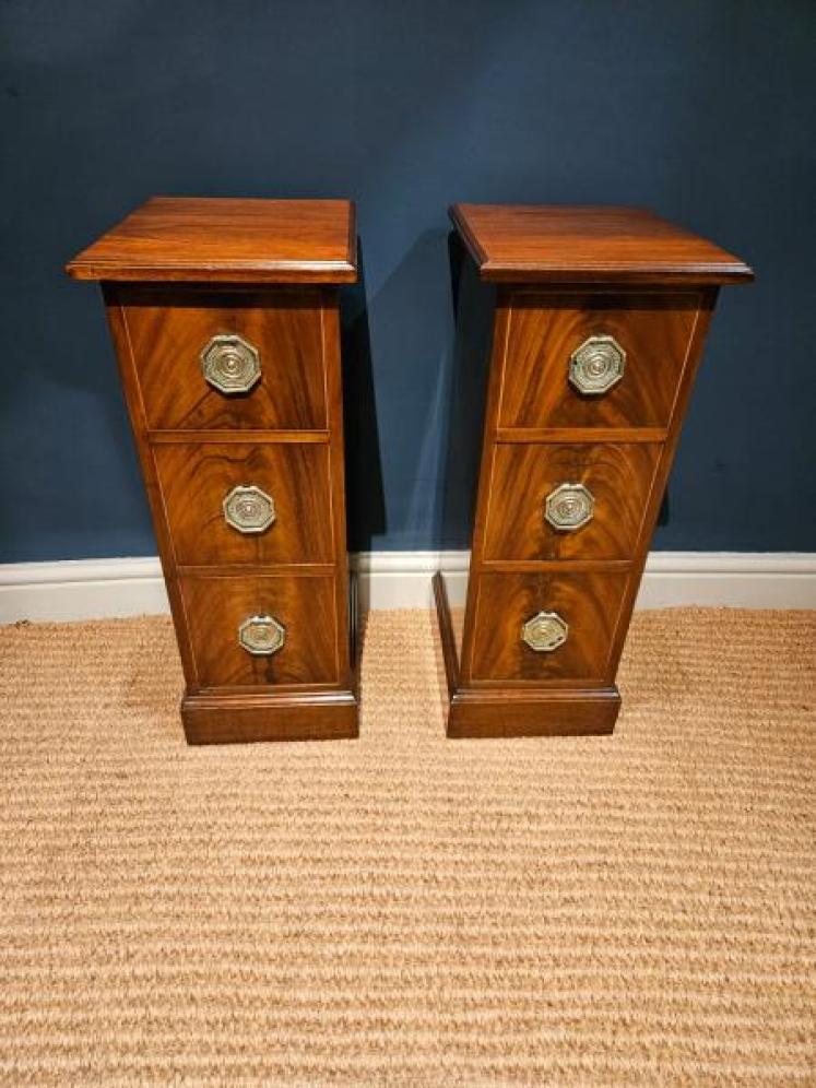 Pair of Early Victorian Narrow Chests - Image 6