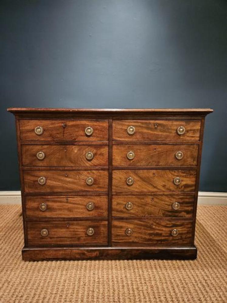 George III Mahogany Library Chest - Image 2