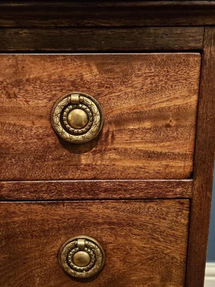 George III Mahogany Library Chest - Image 4