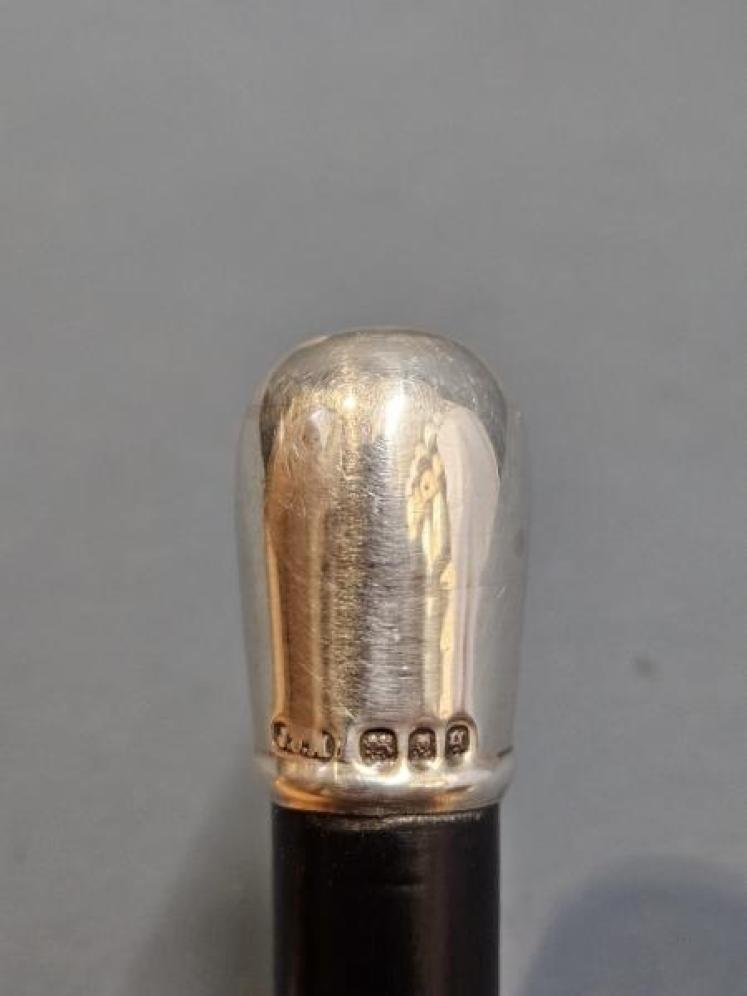 George V Period Silver Topped Conductor's Baton - Image 2