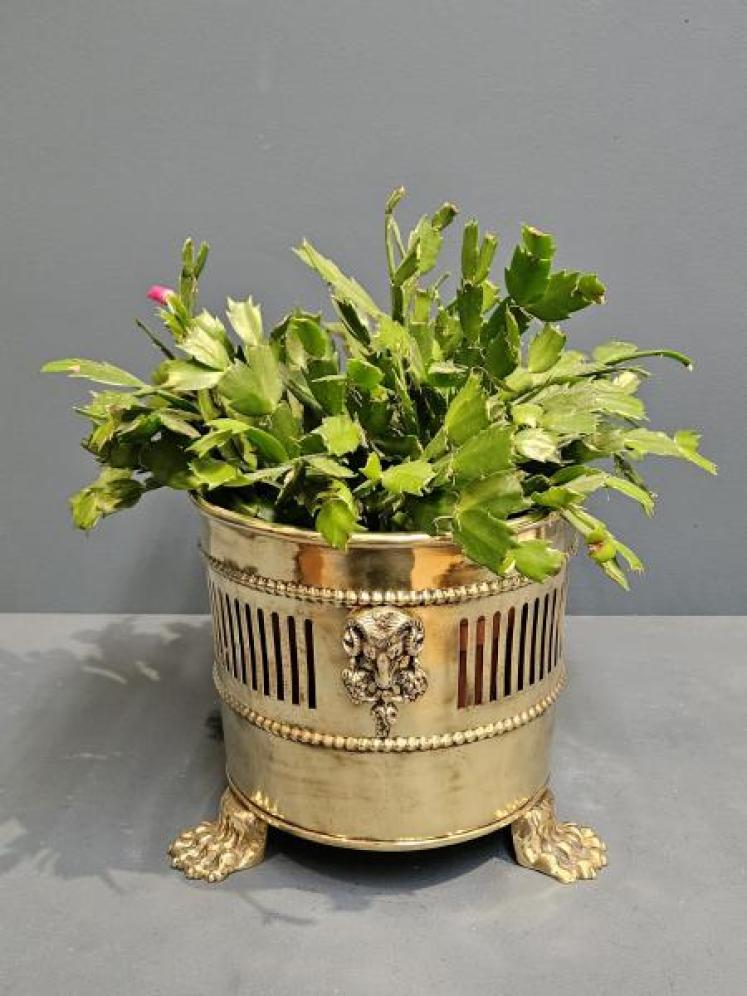 Victorian Brass Planter - Image 6