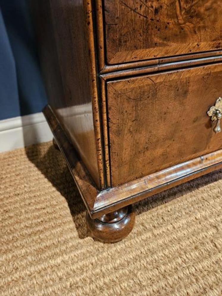 Small Proportioned William and Mary Walnut Escritoire - Image 7