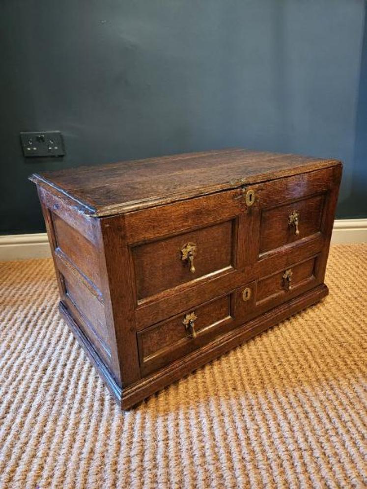 George I Oak Panelled Front Coffer Bach - Image 2