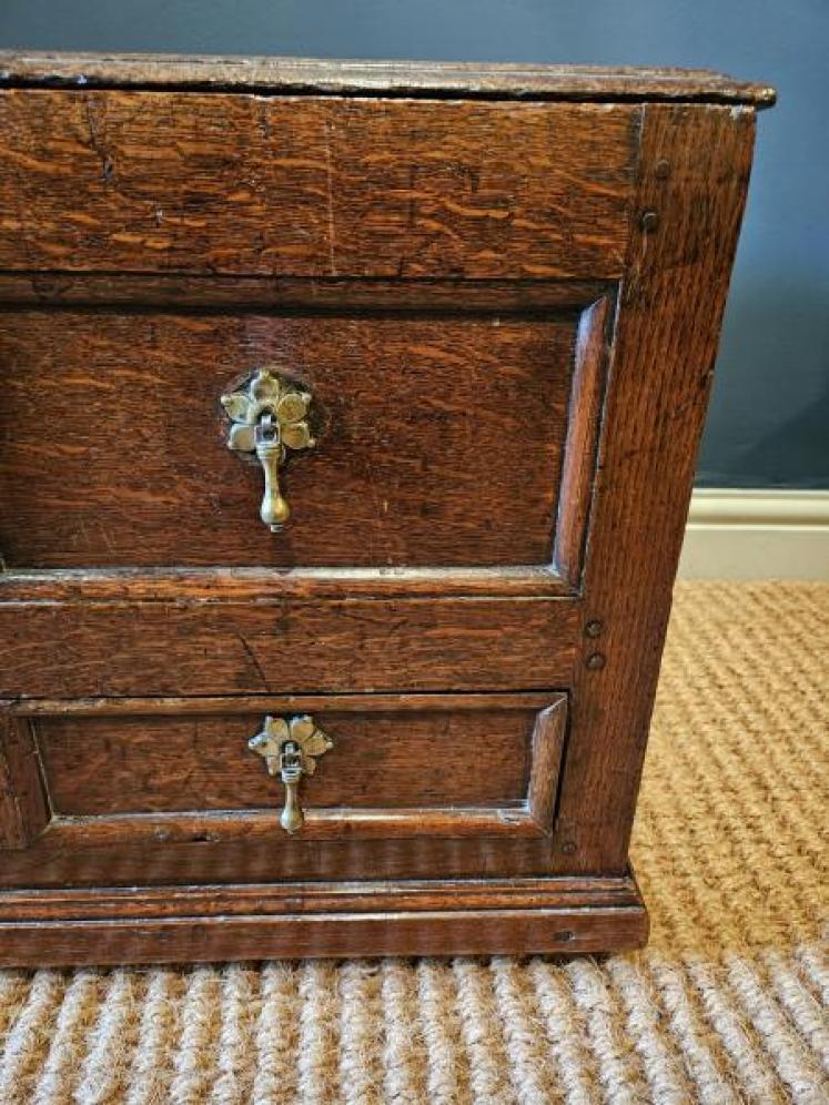 George I Oak Panelled Front Coffer Bach - Image 3