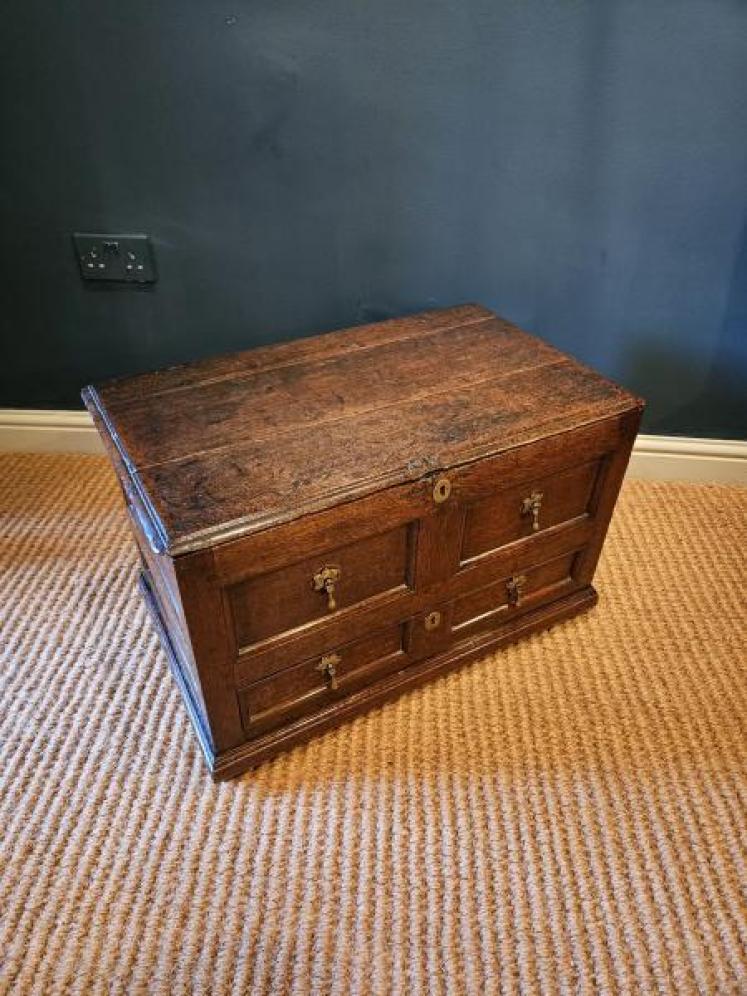 George I Oak Panelled Front Coffer Bach - Image 4