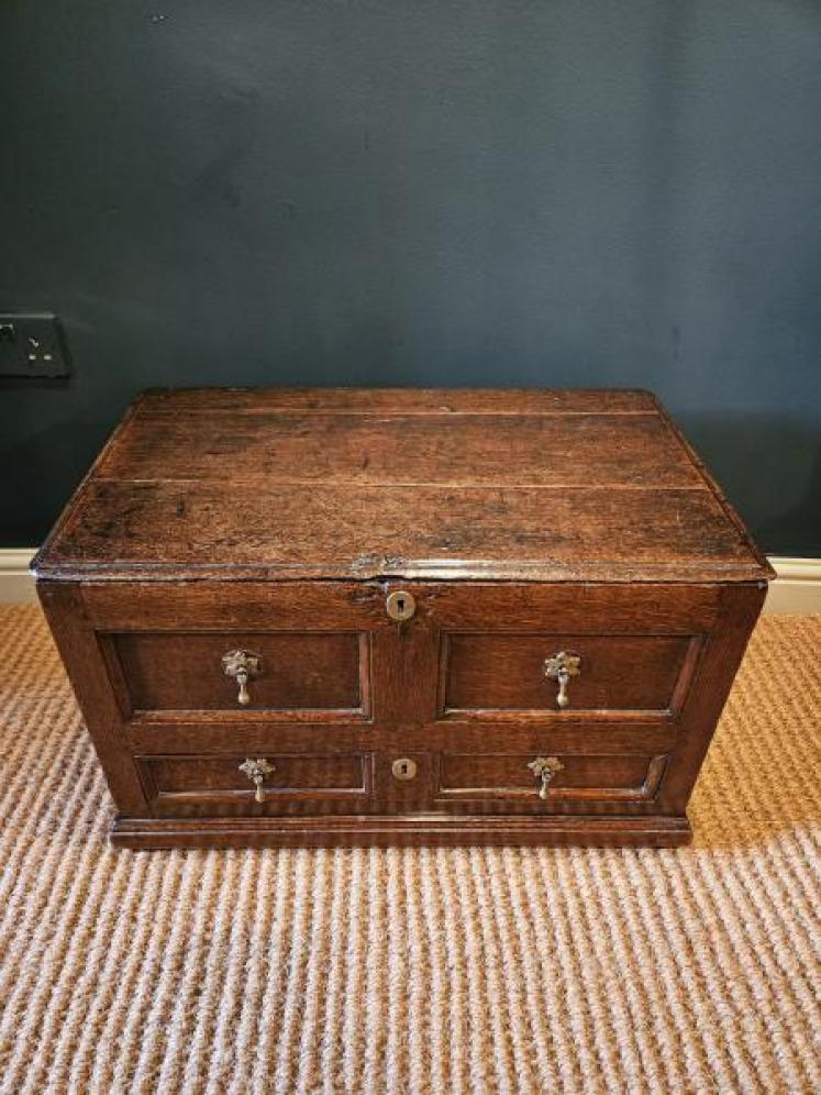 George I Oak Panelled Front Coffer Bach - Image 7