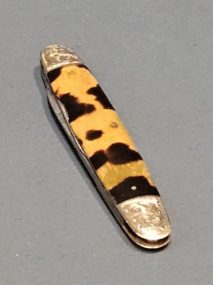 Victorian 9ct Gold and Tortoise Shell Pen Knife  - Image 1
