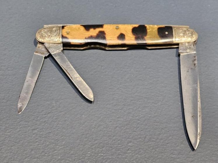 Victorian 9ct Gold and Tortoise Shell Pen Knife  - Image 4