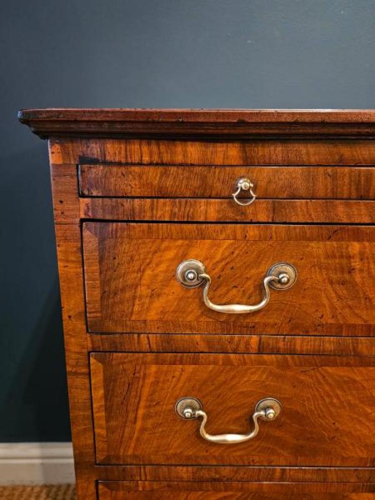 George III Walnut Chest of Drawers - Image 6