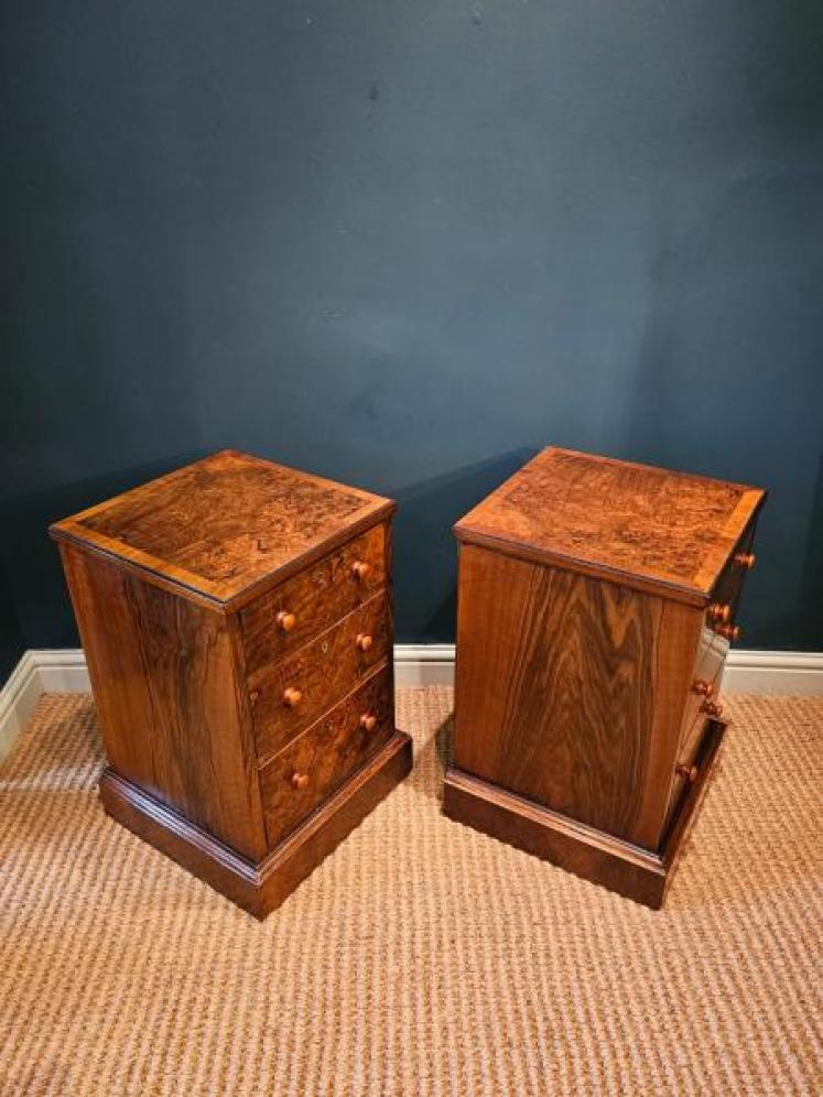 Pair of Victorian Walnut Bedside Chests - Image 6