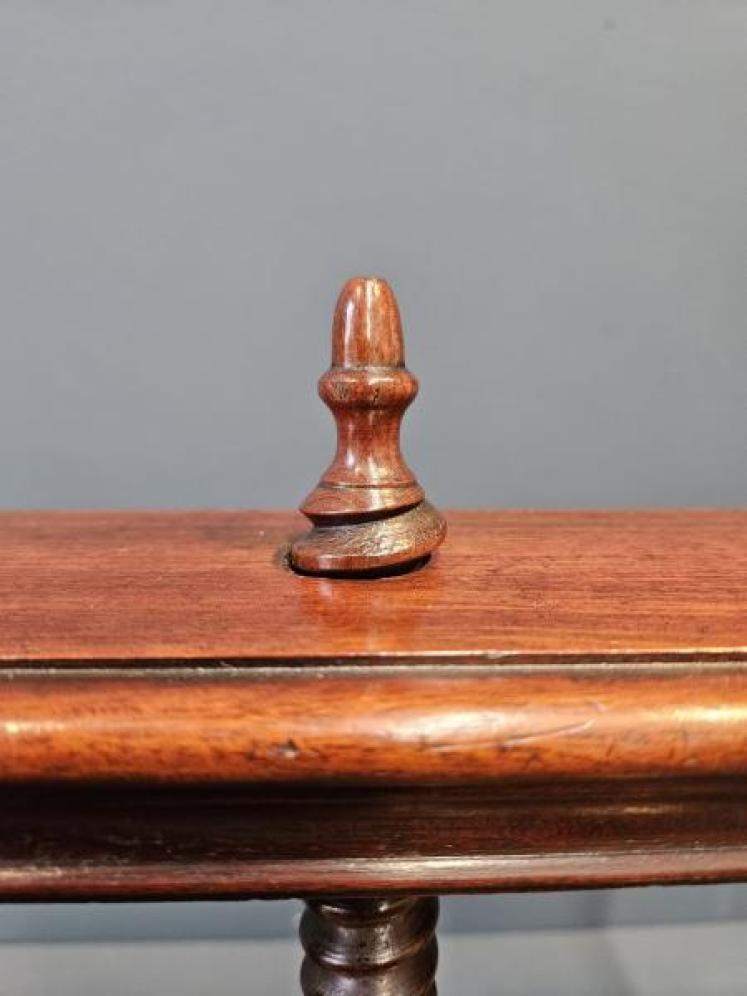 George III Mahogany Book Press - Image 6