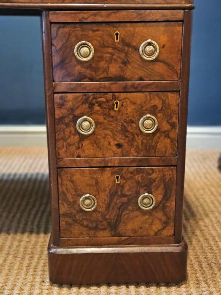Victorian Burr Walnut Pedestal Desk - Image 2