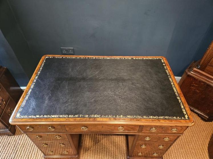 Victorian Burr Walnut Pedestal Desk - Image 5