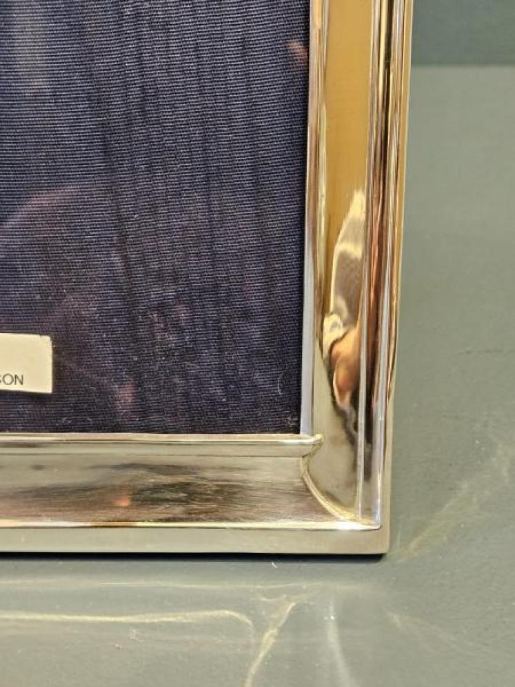 Silver Tucked Arched Top Frame - Image 2