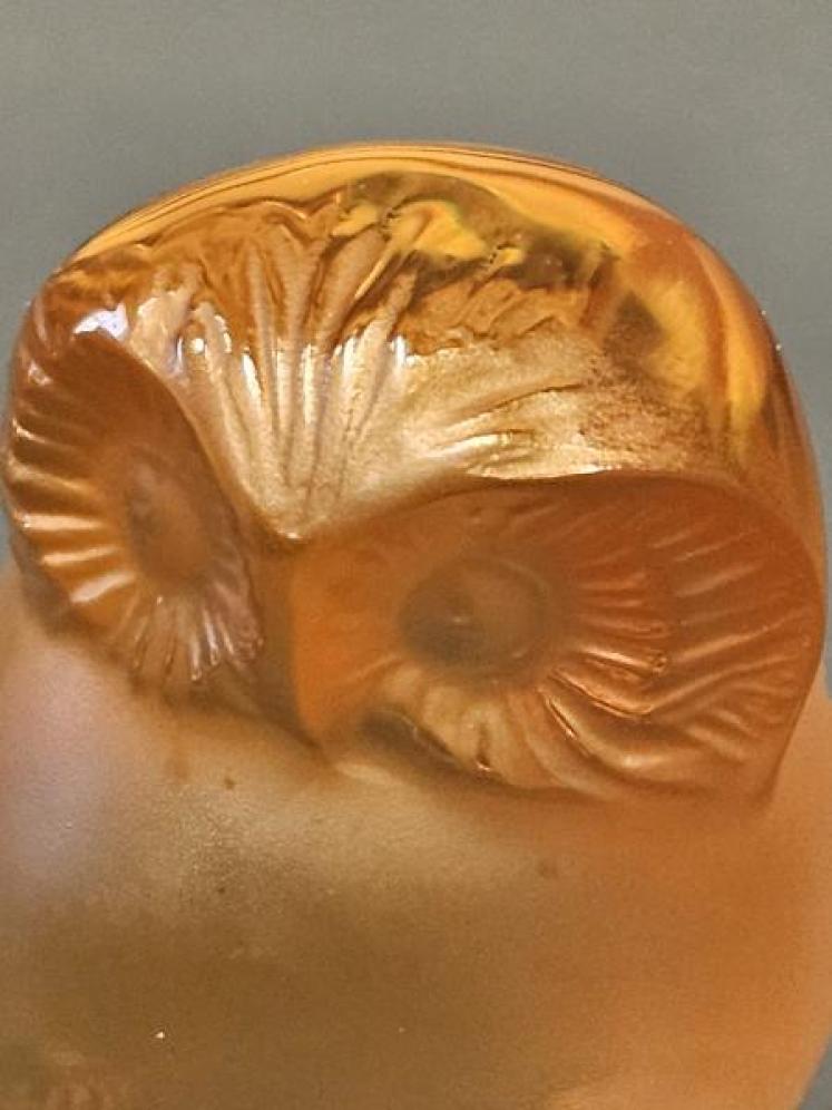 Lalique Amber Owl  - Image 5