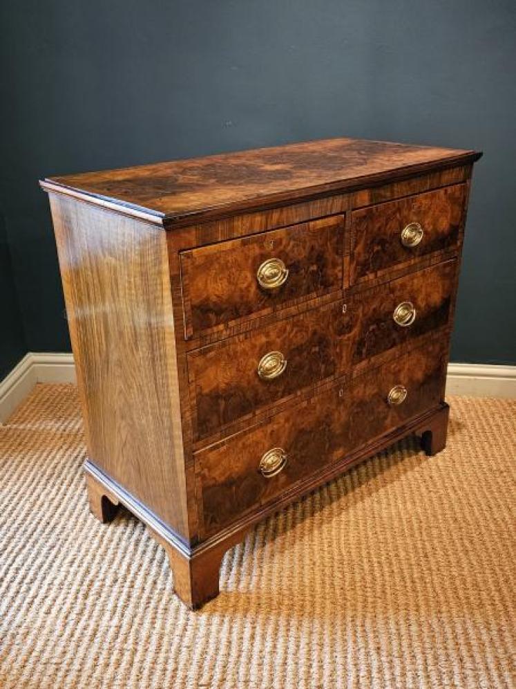 Victorian Walnut Chest of Drawers  - Image 5