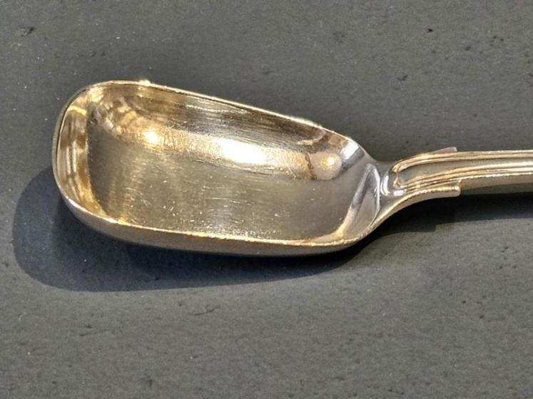 William IV Silver Long Handle Caddy Spoon - Image 3