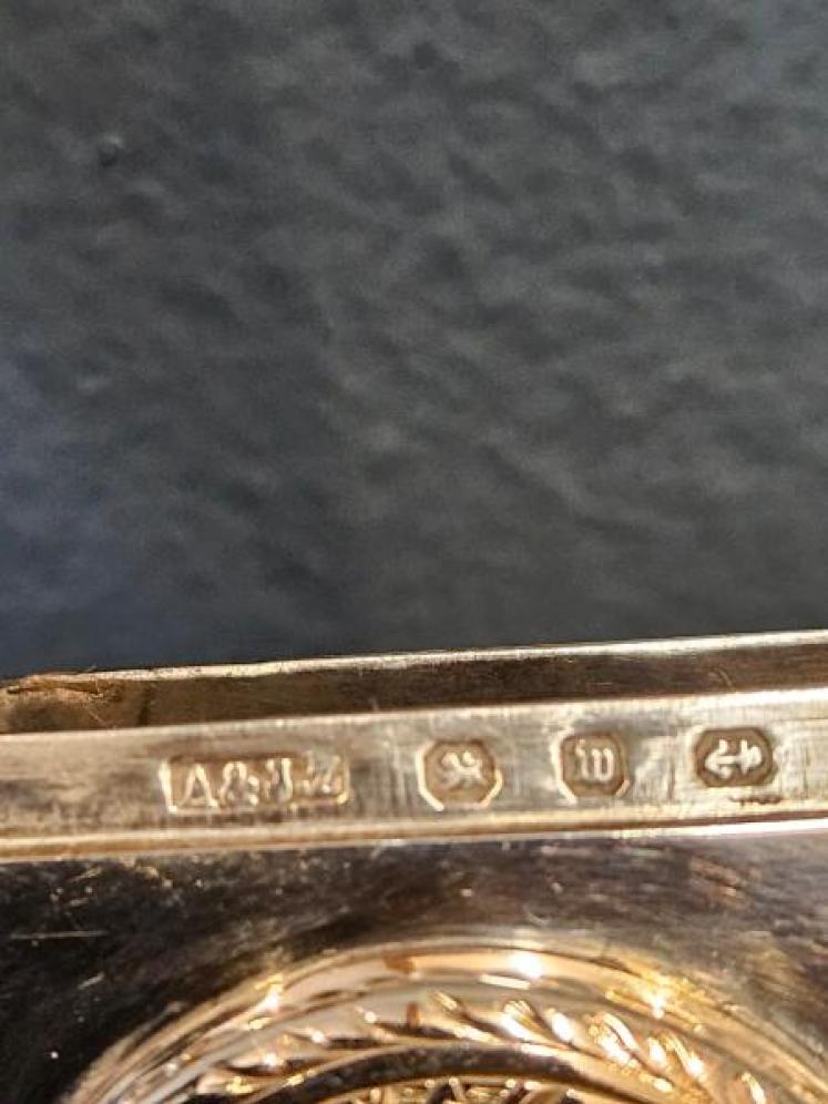 Silver and 9ct Gold Medallion Vesta Case - Image 4