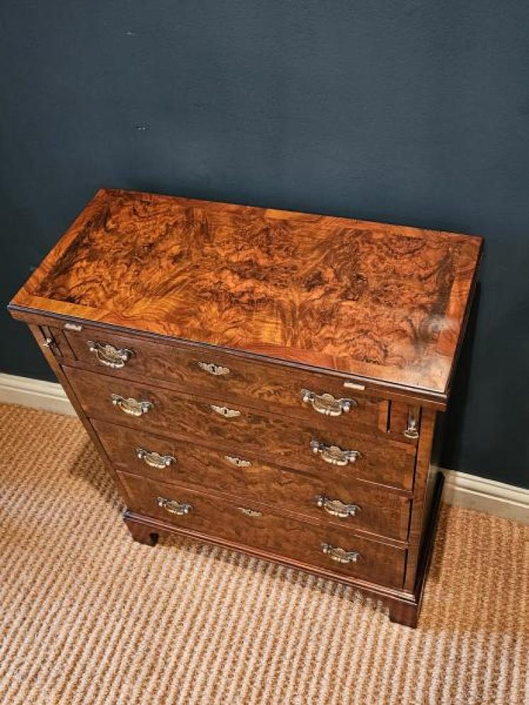 Small Walnut Bachelors Chest - Image 5