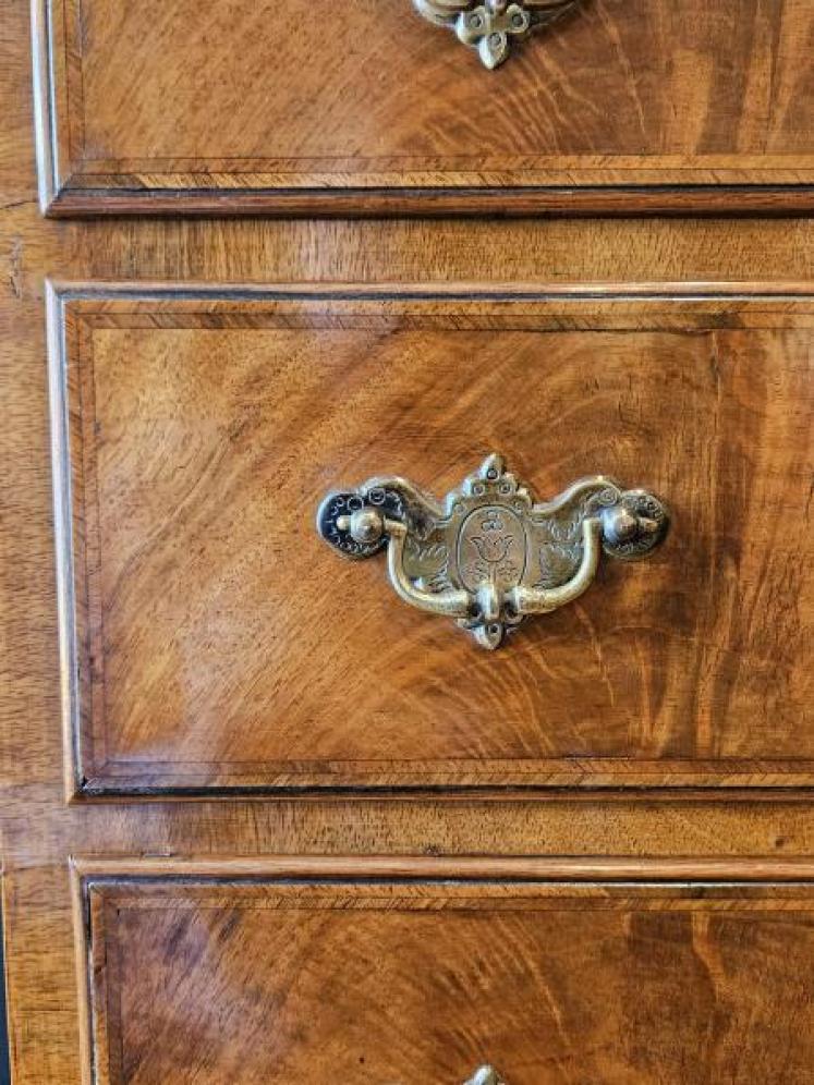 Small Edwardian Walnut Chest on Stand - Image 3