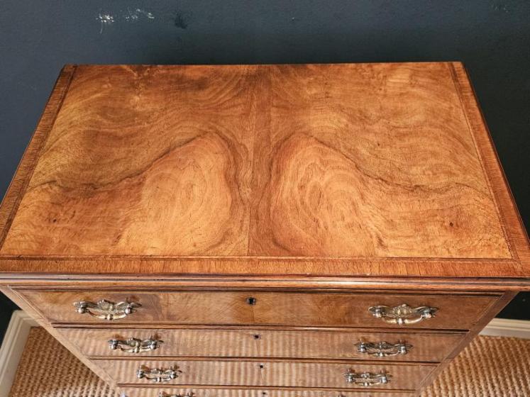 Small Edwardian Walnut Chest on Stand - Image 6