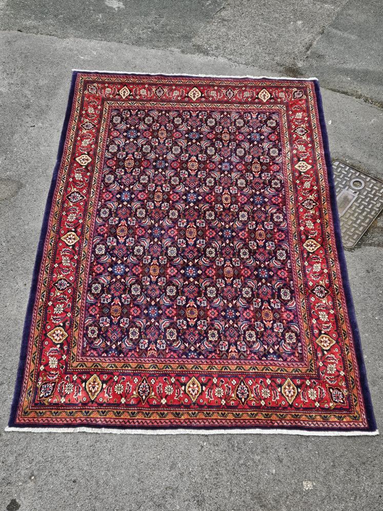 Large Persian Pure Wool Rug - Image 6