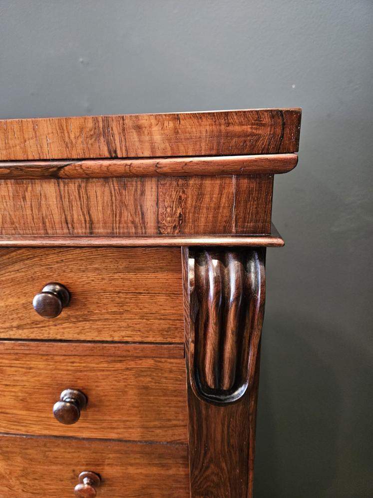 Early Victorian Rosewood Secretaire Wellington Chest  - Image 2