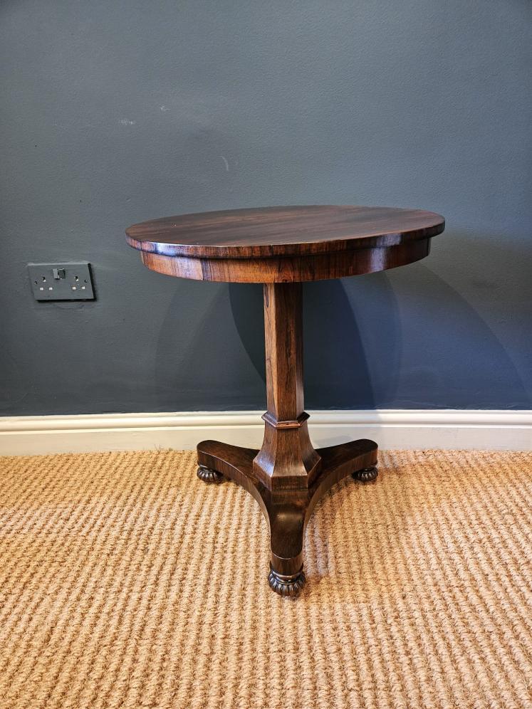 Regency Rosewood Low Occasional Table  - Image 7