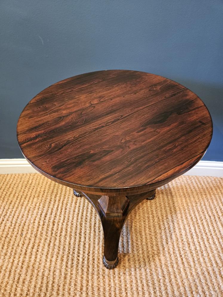 Regency Rosewood Low Occasional Table  - Image 3