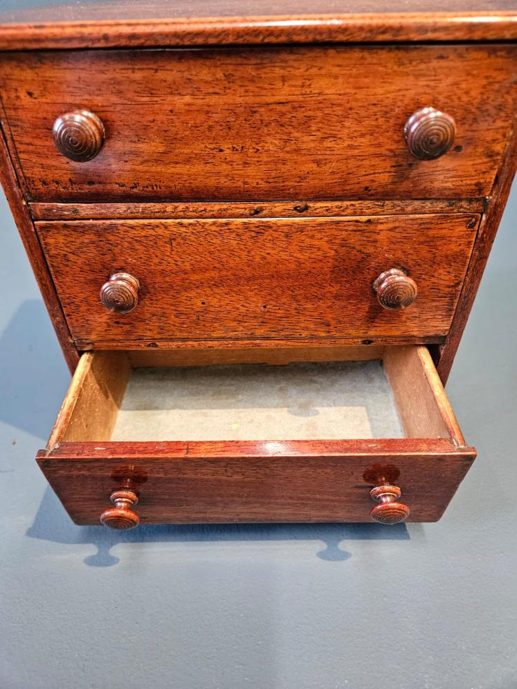 Regency Mahogany Miniature Chest of Drawers - Image 4