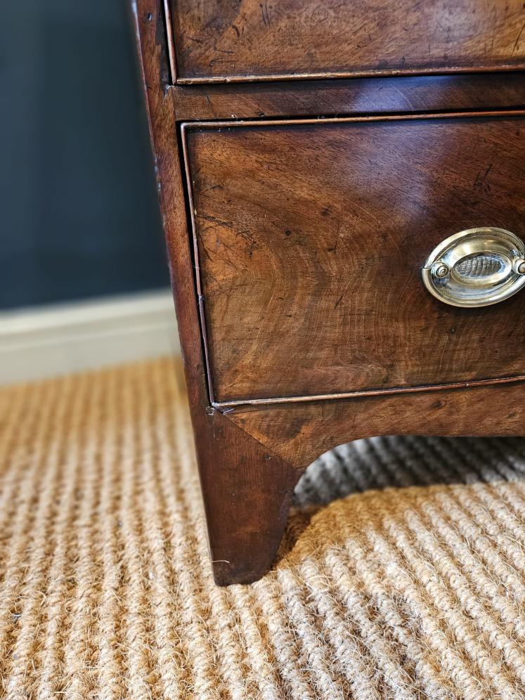 Small Early Victorian Mahogany Bow Fronted Chest of Drawers - Image 4