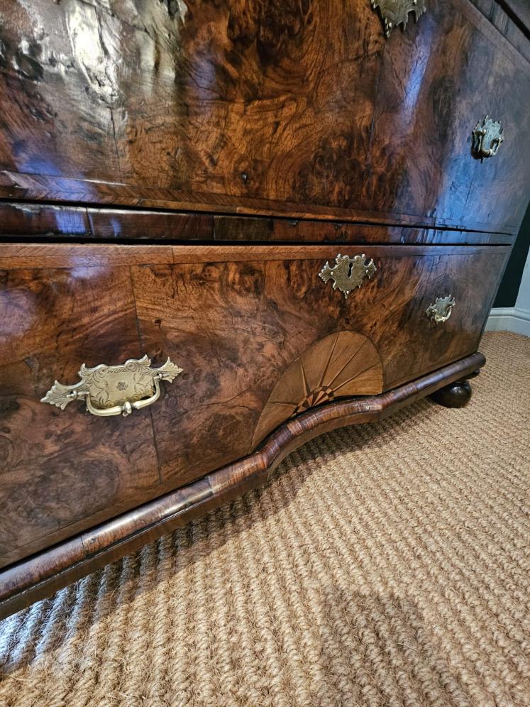 George I Walnut Chest on Chest with Dished Sunburst - Image 6