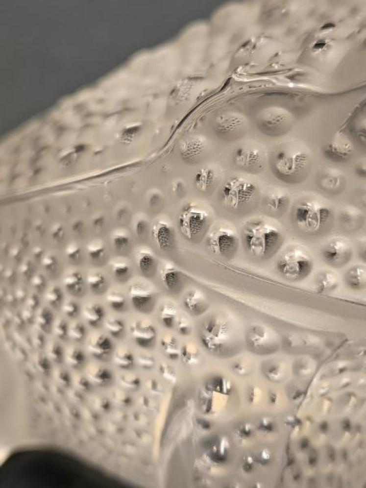 Lalique Sitting Toad - Image 6