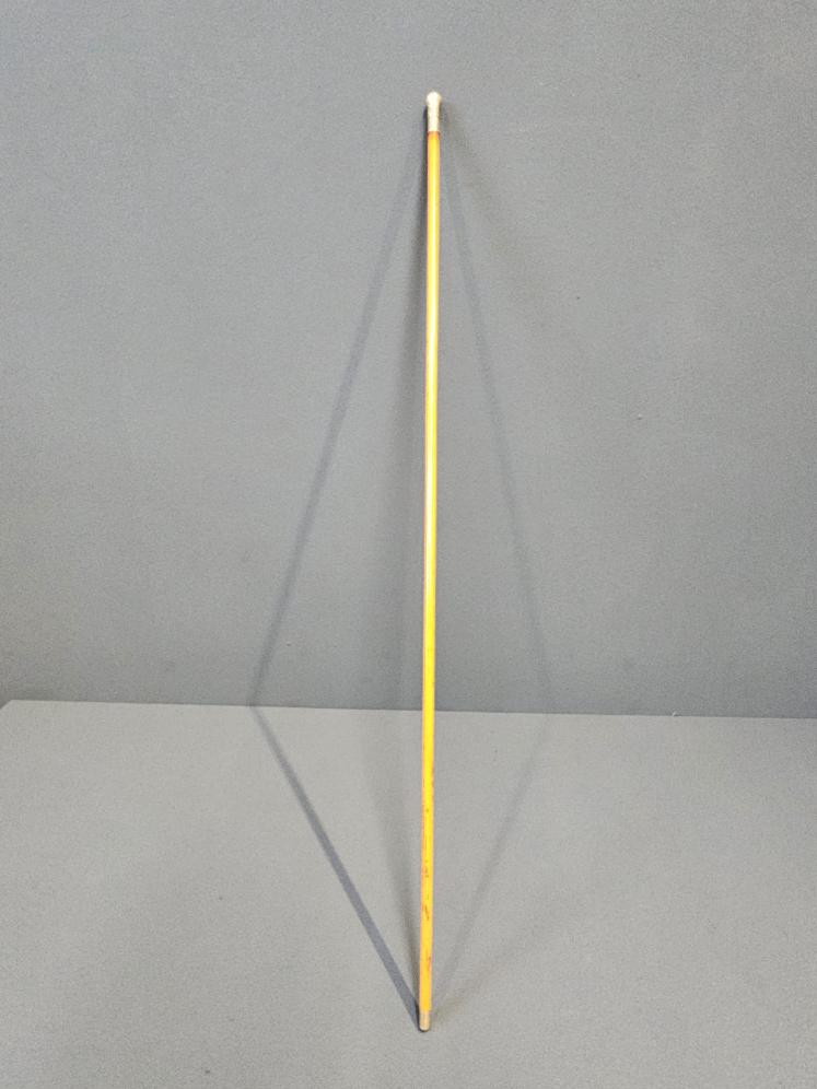 Victorian Swagger Stick with 15ct Gold Mount Inset with a Ruby - Image 1