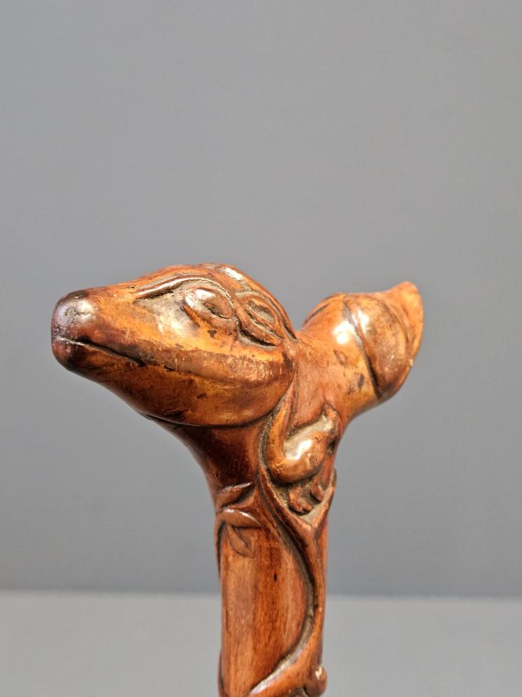 Edwardian Blackthorn Dog Head Walking Stick  - Image 5