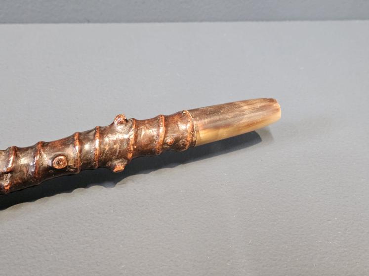 Edwardian Blackthorn Dog Head Walking Stick  - Image 4
