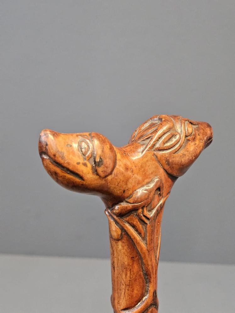 Edwardian Blackthorn Dog Head Walking Stick  - Image 2