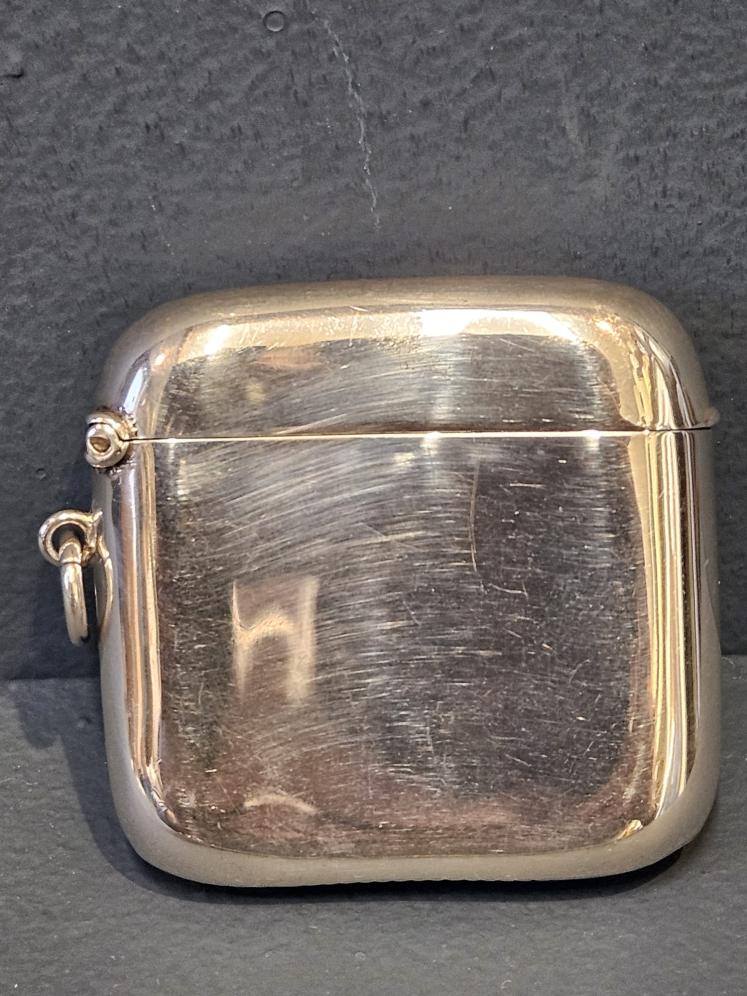 Edwardian Silver Vesta with Retriever Motif - Image 5