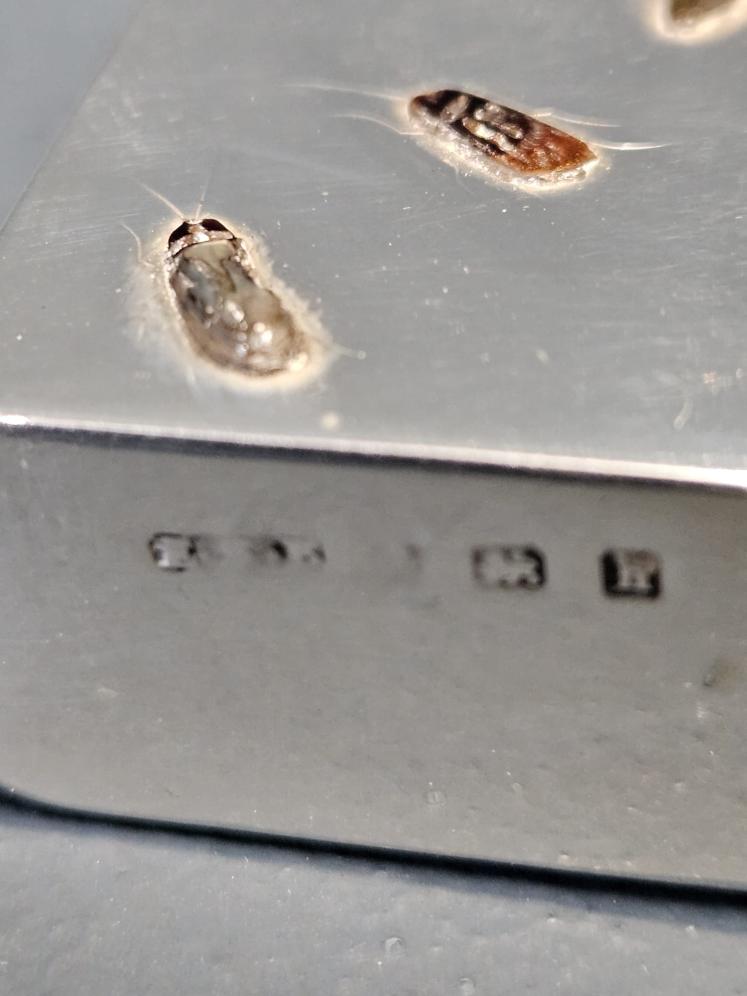  Edwardian Silver Shibayama Match Case - Image 5