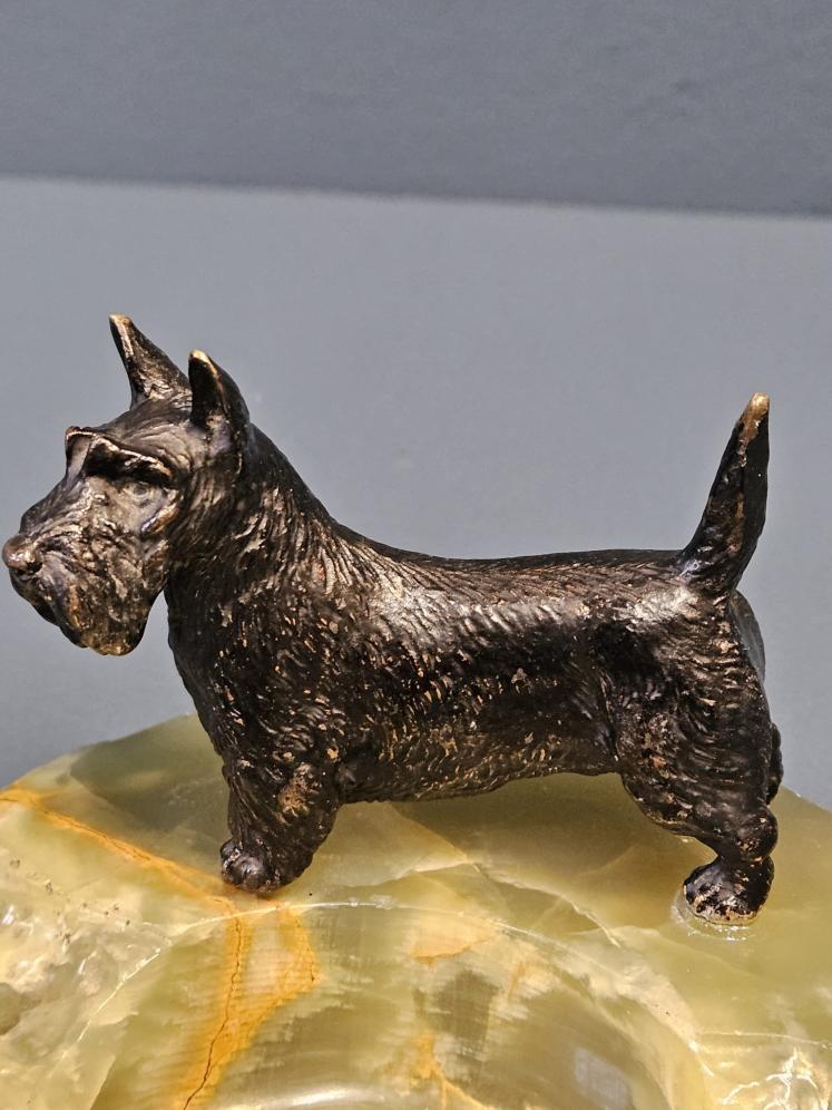 1920's Cold Painted Bronze Scottie Dog Desk Tidy  - Image 3